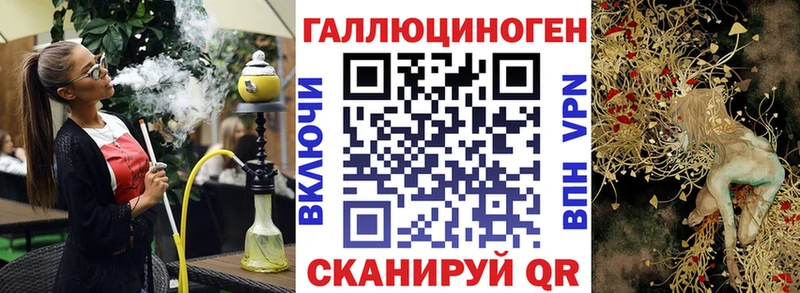 купить закладку Магас MEGA ТОР Псилоцибиновые грибы GOLDEN TEACHER